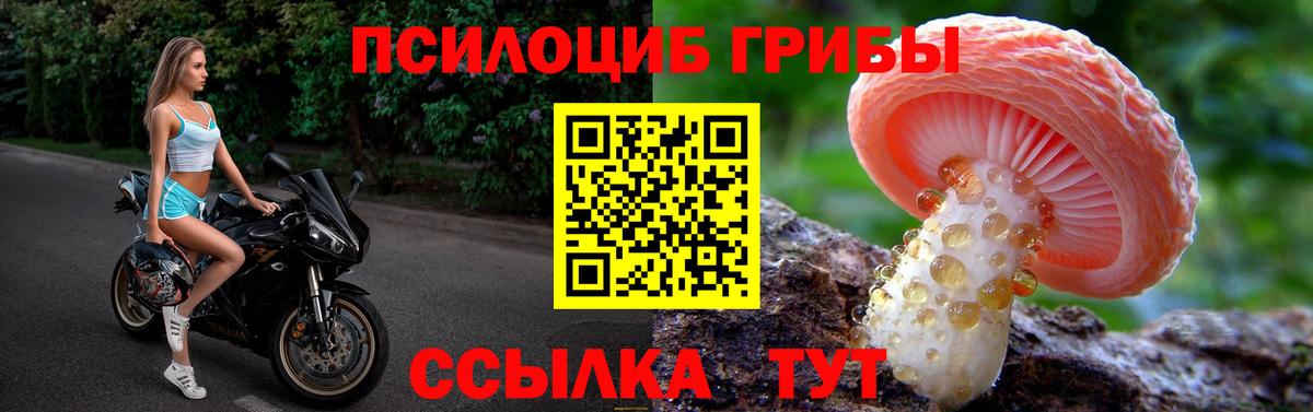 Галлюциногенные грибы прущие грибы  Псилоцибиновые грибы Cubensis  Фролово  Вход с VPN 